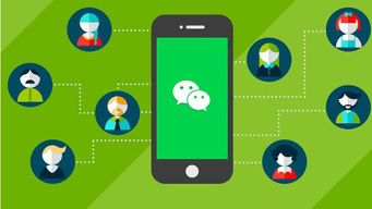 鄭州小程序開(kāi)發(fā) 小程序命名的重要性與實(shí)現(xiàn)霸屏效果的四大關(guān)鍵